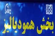 نکاتی کلیدی برای رژیم غذایی در همو دیالیز